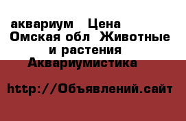 аквариум › Цена ­ 8 000 - Омская обл. Животные и растения » Аквариумистика   